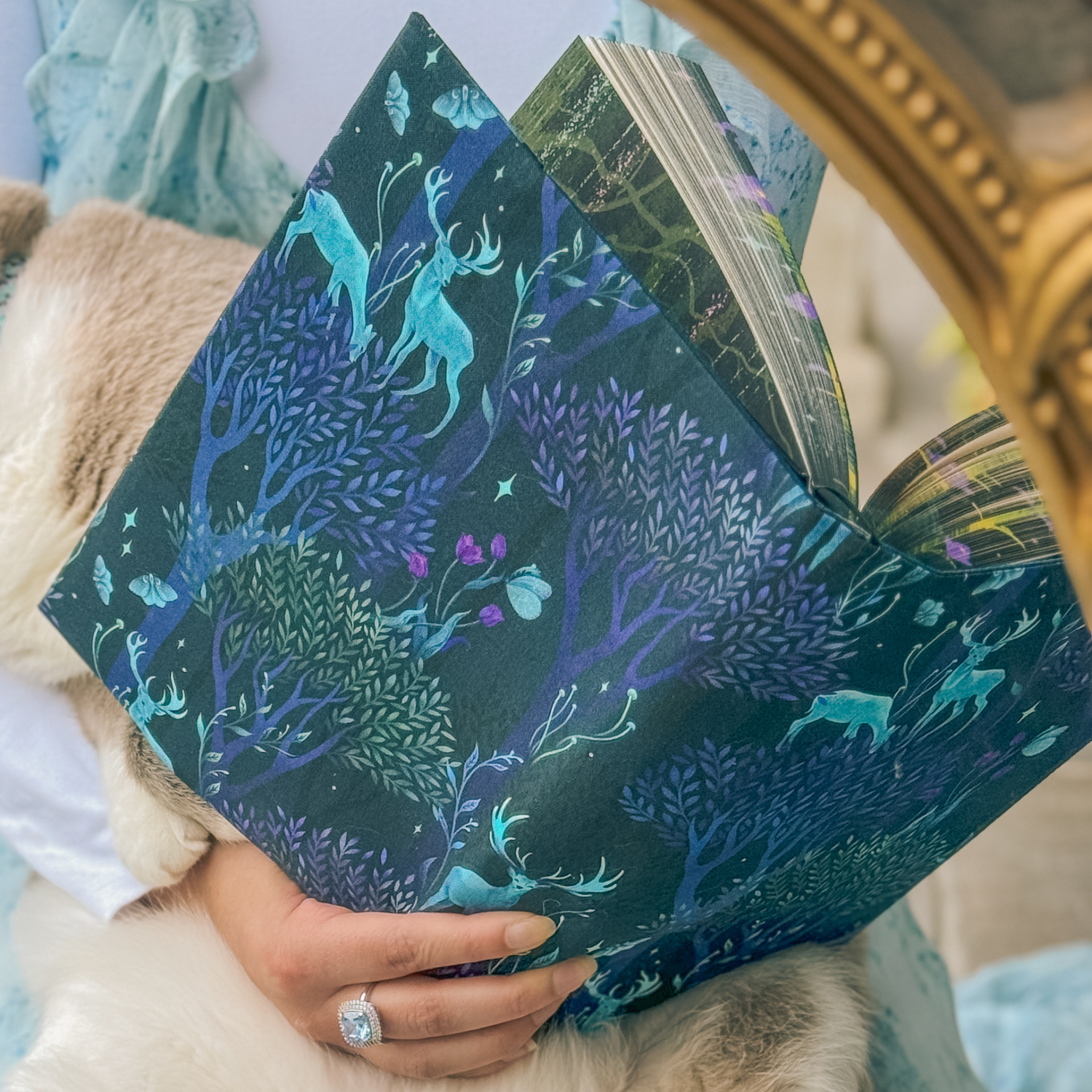 Enchanted
