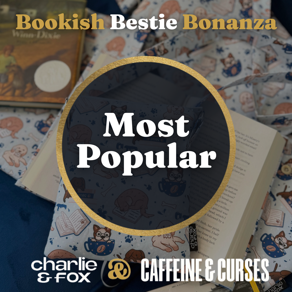 Most Popular Bundles